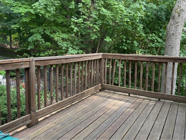Large private deck overlooking owner's back yard. Deck large enough to put outdoor table and sofas - 307 Tappan St