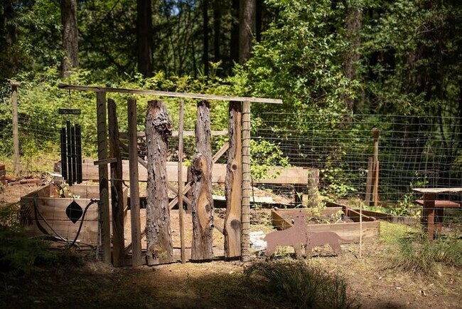Building Photo - Sunlit Sanctuary in the Redwoods