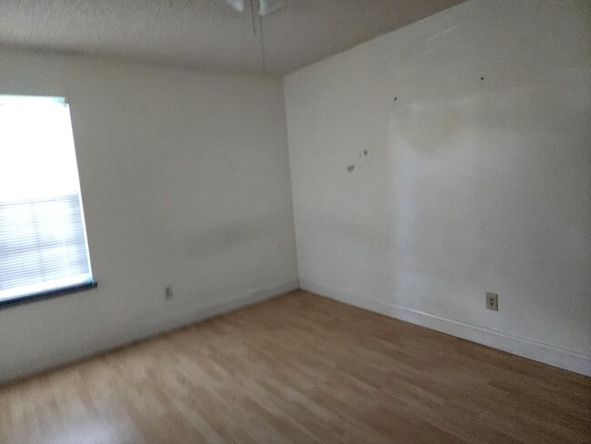 Building Photo - 2153 Royal Poinciana Blvd