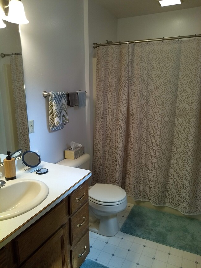 Second floor bathroom - 1445 Meadowcreek Ct