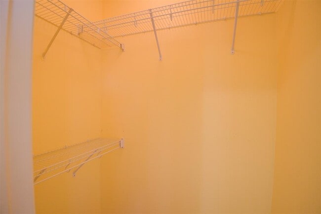 Building Photo - 2320 Gracy Farms Ln