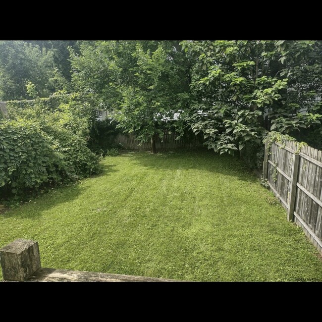 Backyard - 74 N Allen St