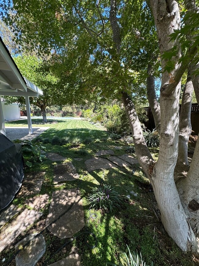 Building Photo - 5 Bed 3 Bath In Alamo W/ Pool
