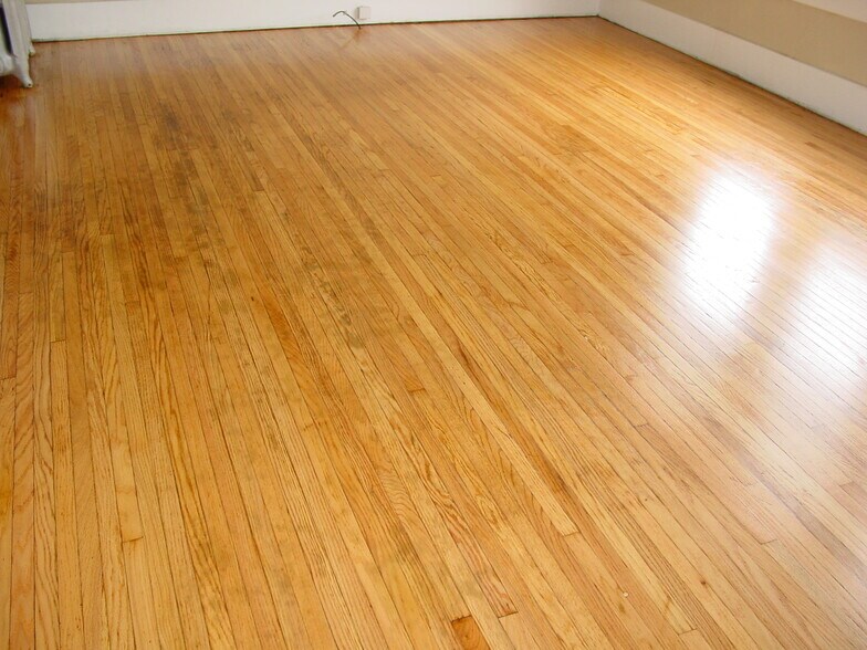 Large Living Room - Well Lit - 20 N Locust St