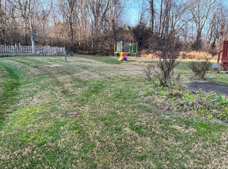 Building Photo - 317 Birch Dr