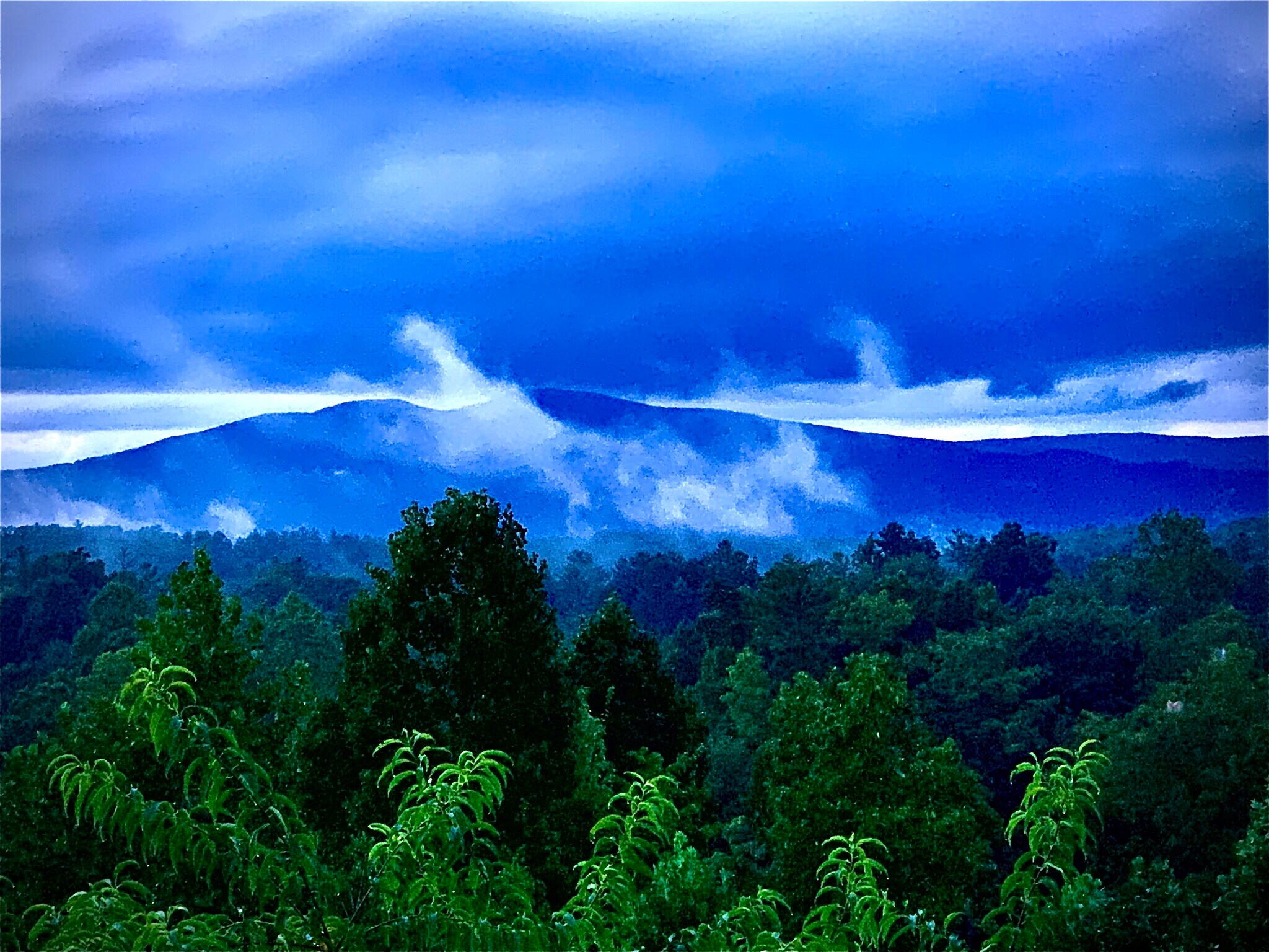 Building Photo - 49 Bayshore Dr