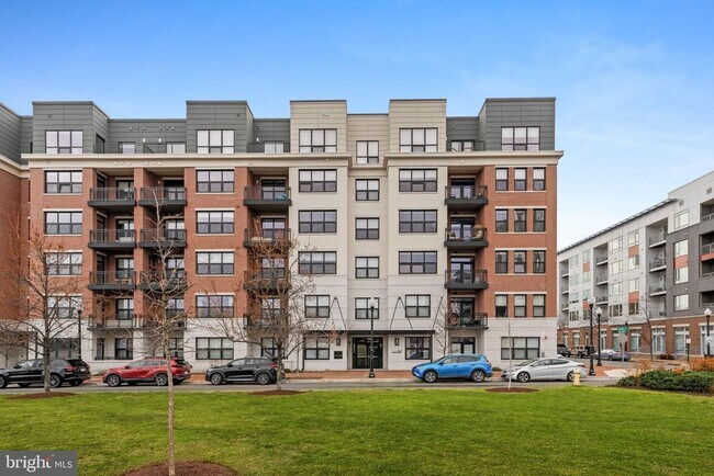 Building Photo - 701 Swann Ave