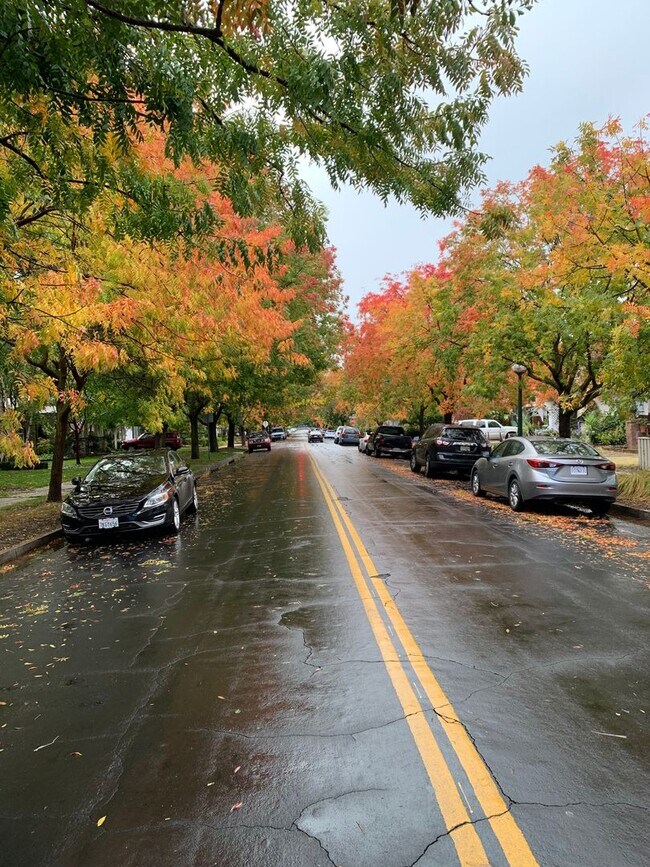 Building Photo - 520-520 Sycamore Ave