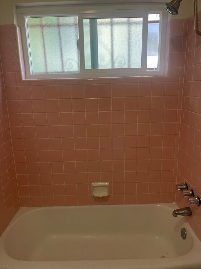 Shower over Tub - 1924 Workman St
