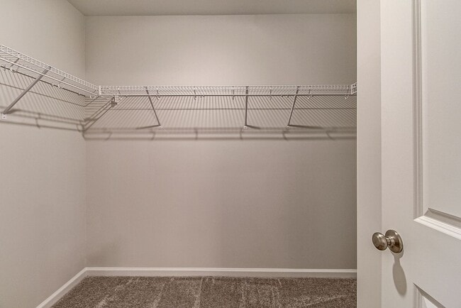 Building Photo - Newly Built Home for Rent in Parsons Mill!...