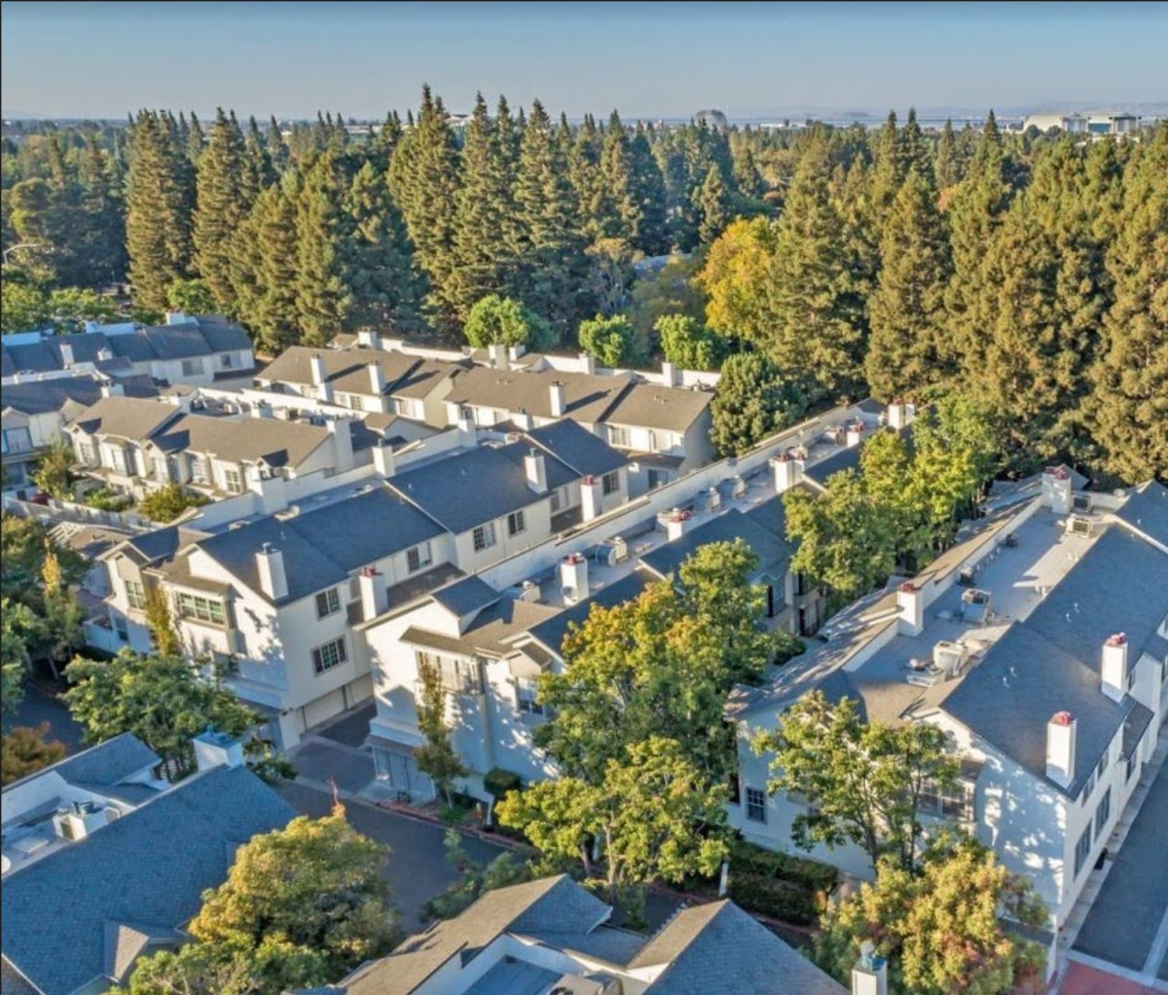 Building Photo - 964 Belmont Ter