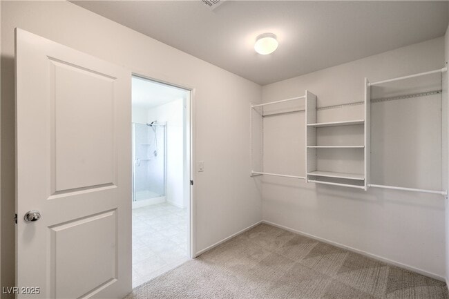 Building Photo - 5647 Colante Falls Dr