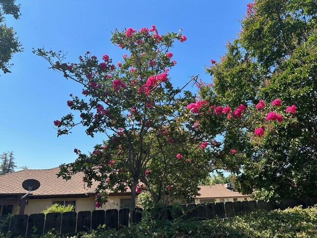 Building Photo - 475 E Mercedes Ave