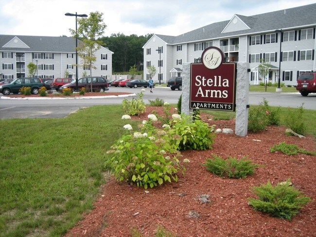 Primary Photo - Stella Arms