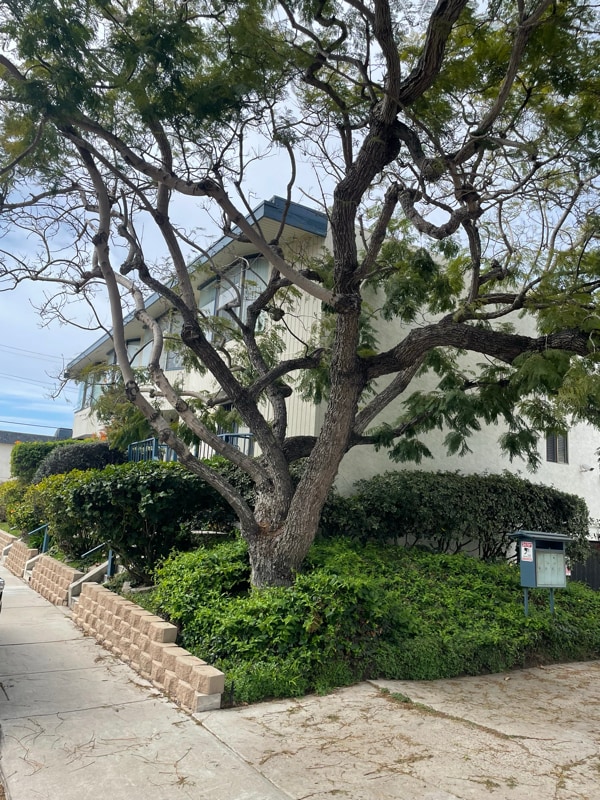 Building Photo - 1412 Graham St