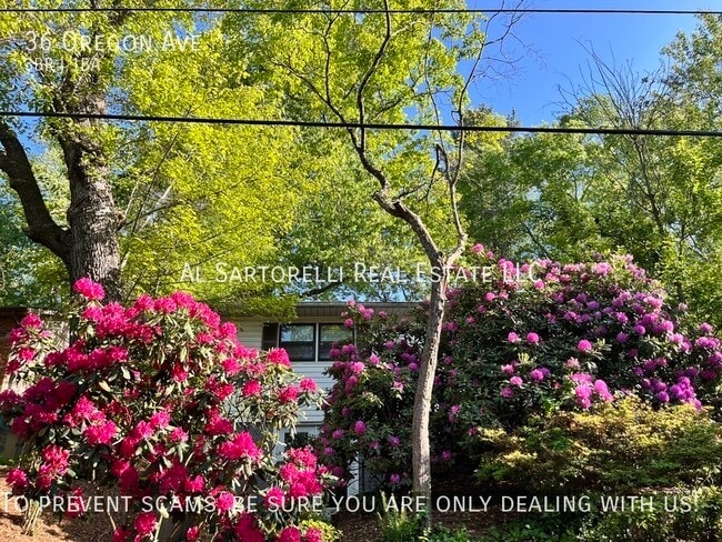 Primary Photo - 36 Oregon Ave