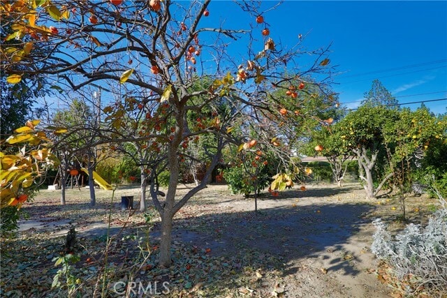 Building Photo - 17449 Donmetz St