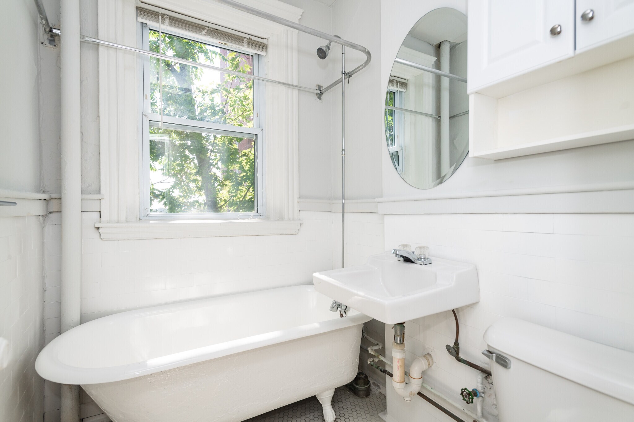 Building Photo - 49 Worthington St