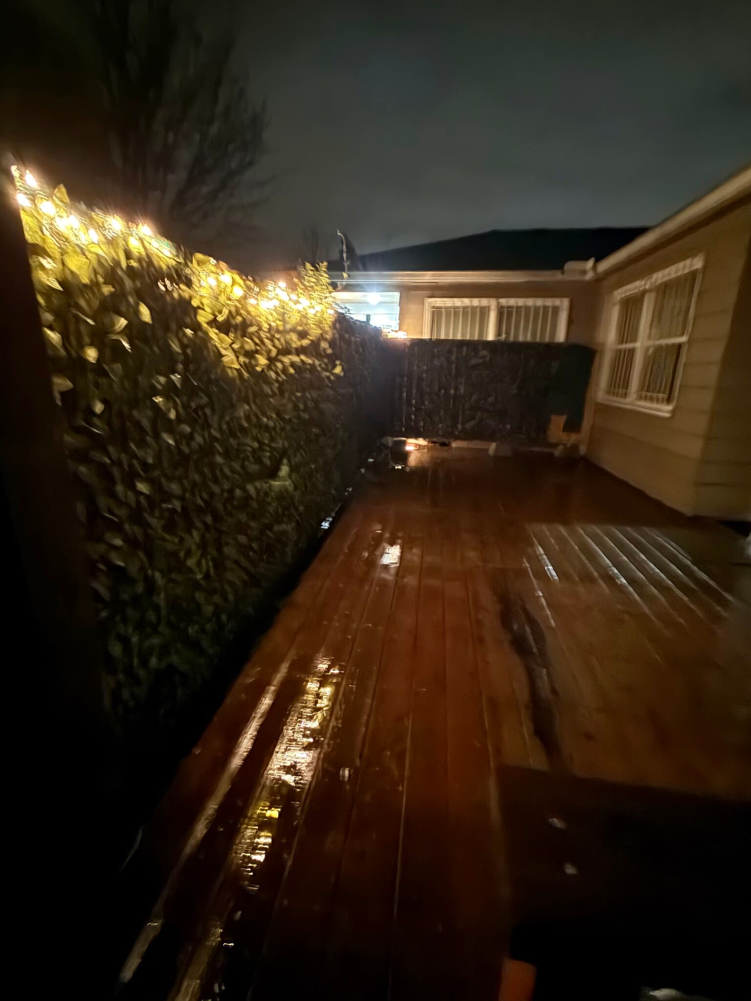 Back deck with twinkle lights - 701 NE 22nd Ave
