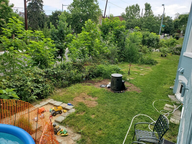 Side Yard - 4530 9th St NW
