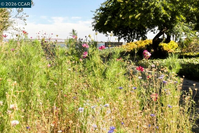 Building Photo - 1351 Eastshore Dr