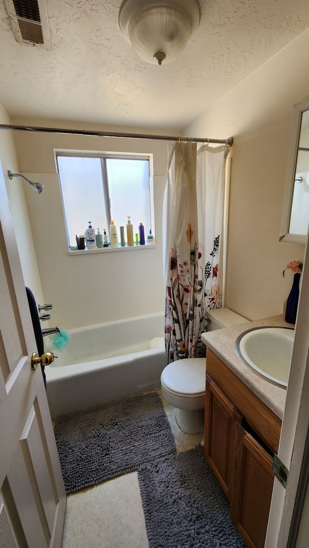 Building Photo - 1 Bed 1 Bath Pet Friendly Provo Apartment South of BYU