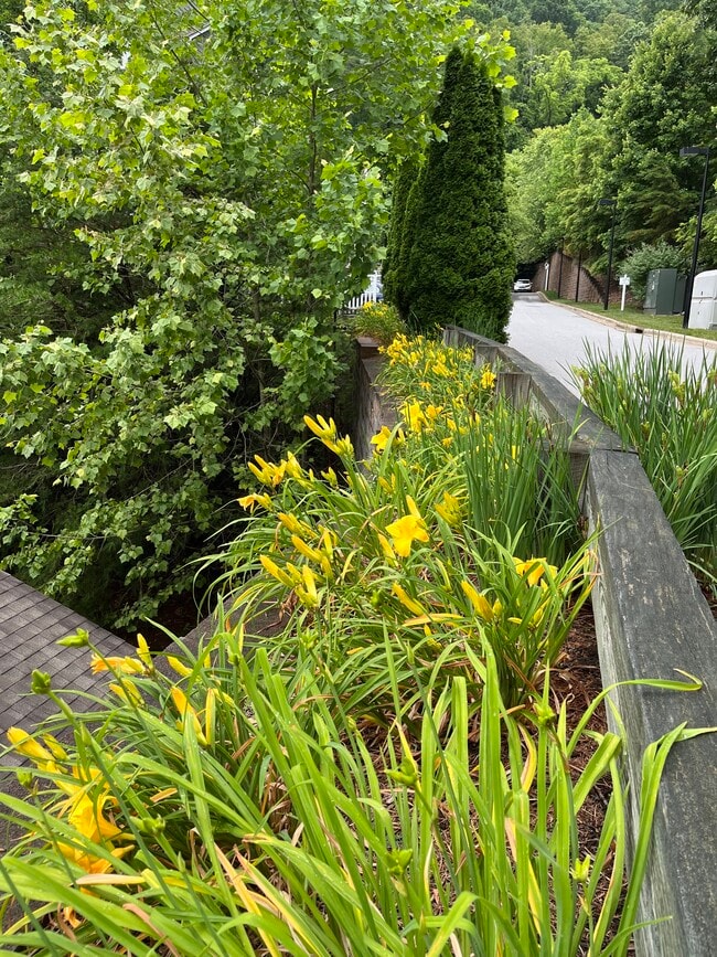 Well-Maintained Eastwood Village - 2000 Olde Eastwood Village Blvd
