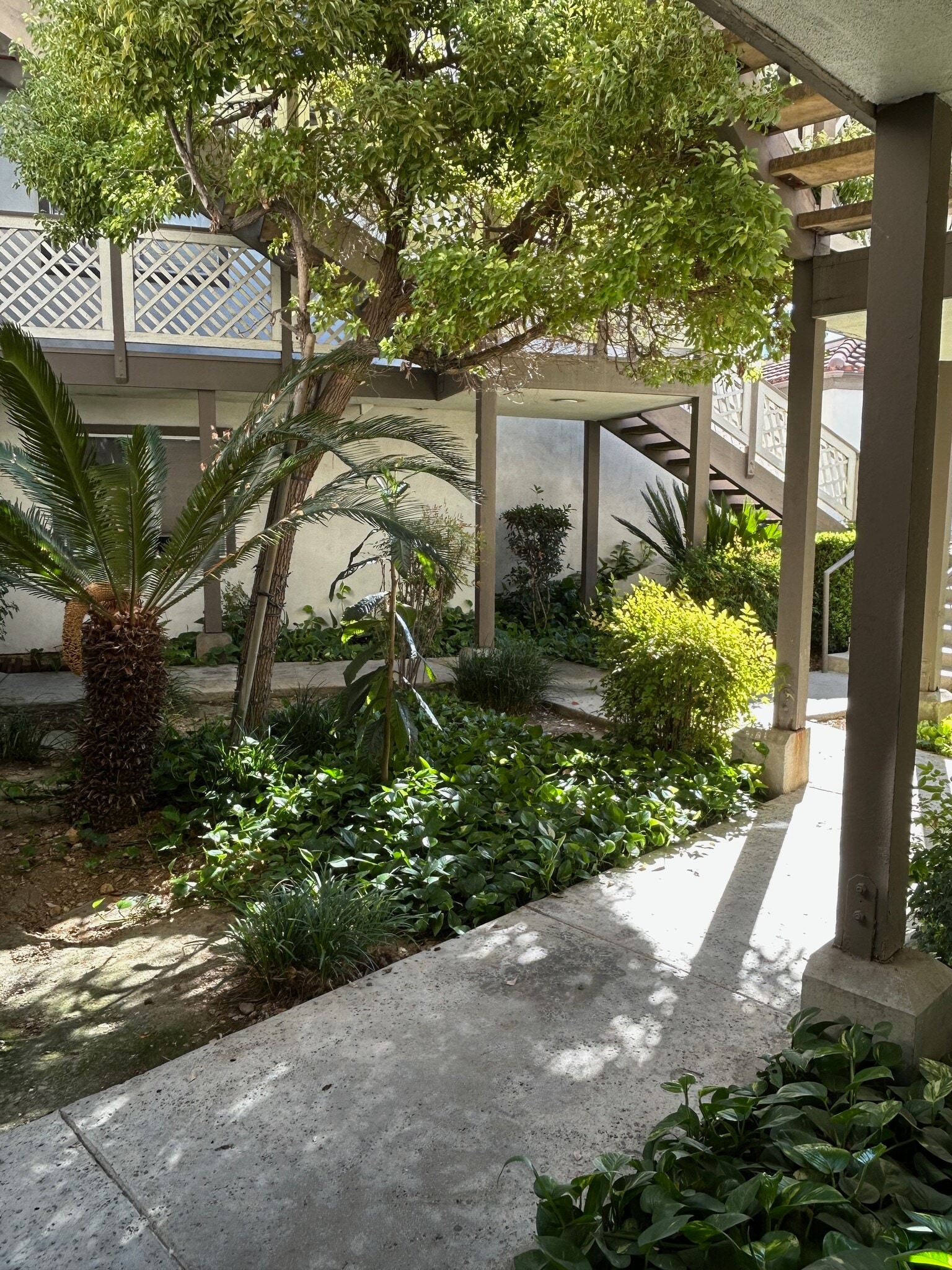 Building Photo - 3429 Legato Ct