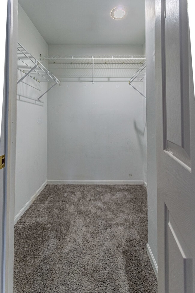 Building Photo - 1278 Clare Ct