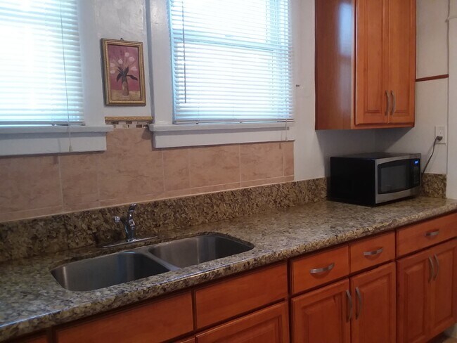 Kitchen Counter - 616 W 40th Pl