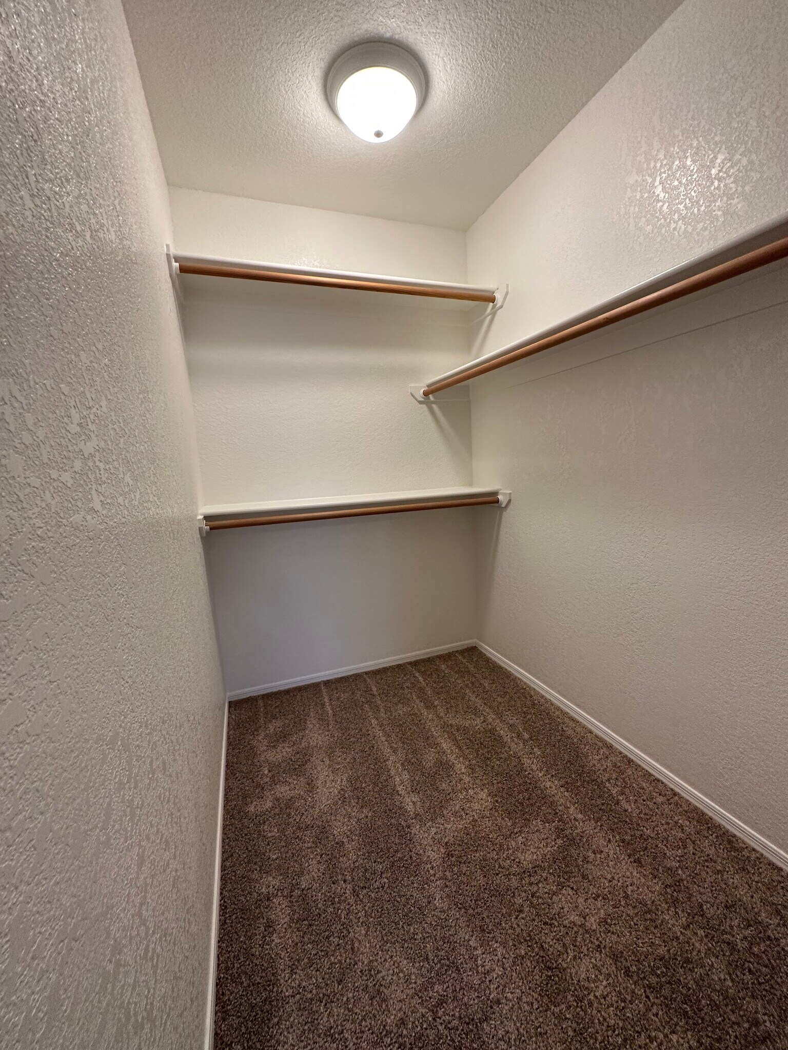 Building Photo - 3036 Ranchero Dr