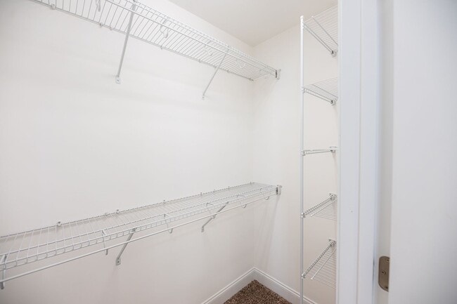 Building Photo - Stunning 5 Bedrooms, 4 Baths home in Summerfield with 2 car garage.