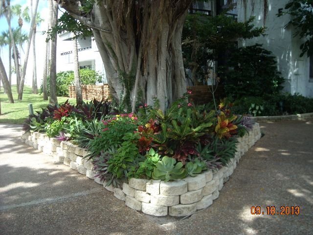 Building Photo - 1BR/1BA Newly Renovated Canal front Condo on Venice Island