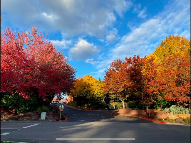 Building Photo - Spacious Mt. Park Lake Oswego Condo - Larg...