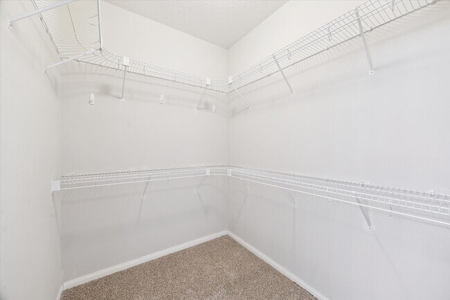 Building Photo - 9215 Colonyway Ct