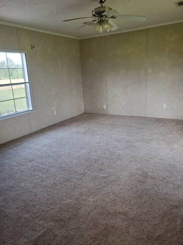 Building Photo - 857 Briscoe Rd
