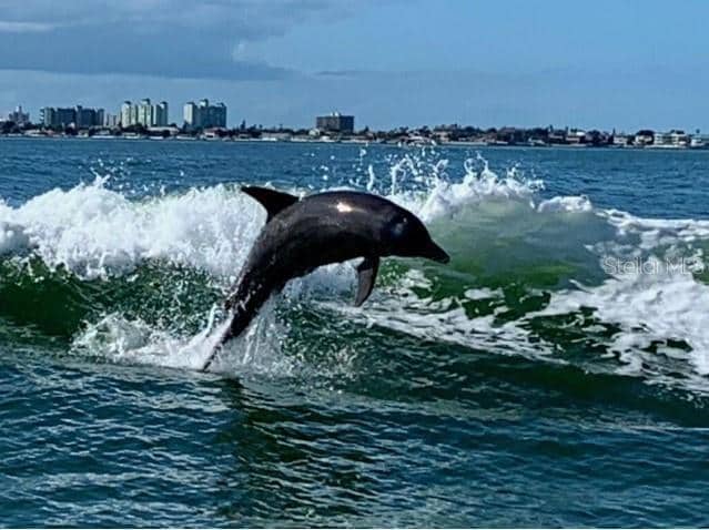 Building Photo - 5200 Brittany Dr S