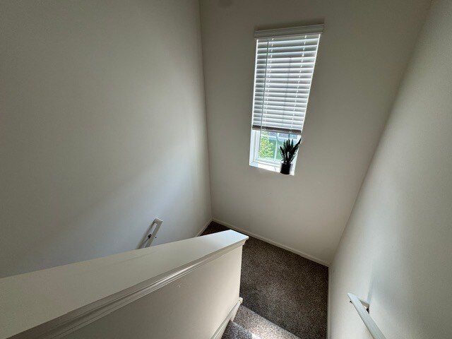 Building Photo - 1039 Briar Gln Ct