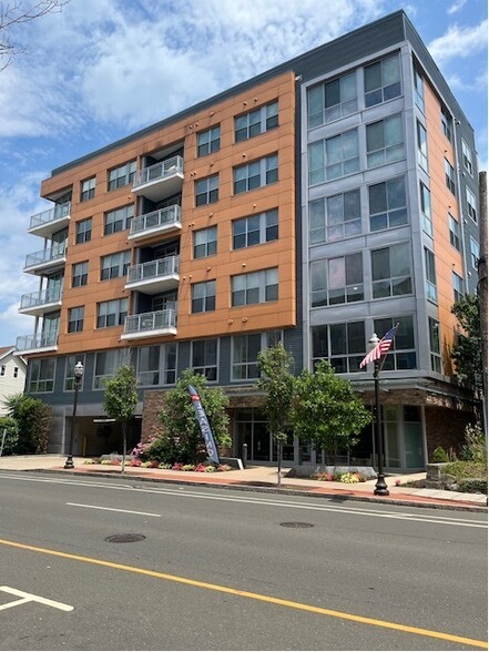 Building Photo - Bedford Hall Apartments in Downtown Stamford