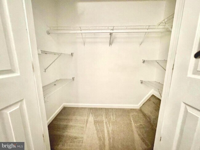 Building Photo - 597 Primus Ct