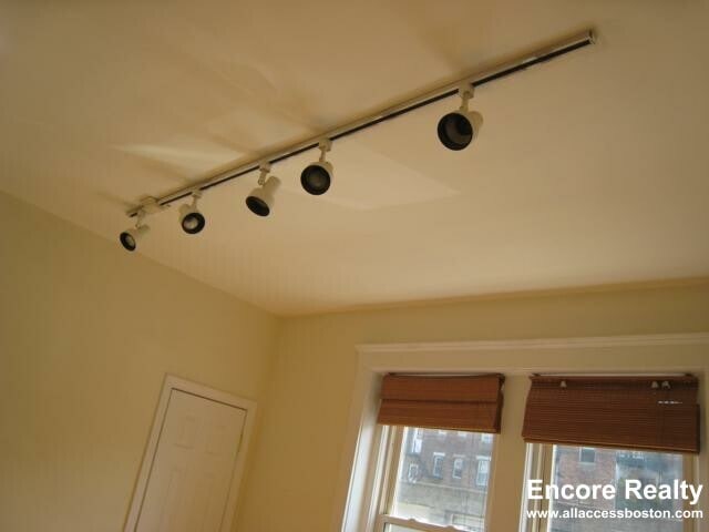 Building Photo - 62 Egmont St