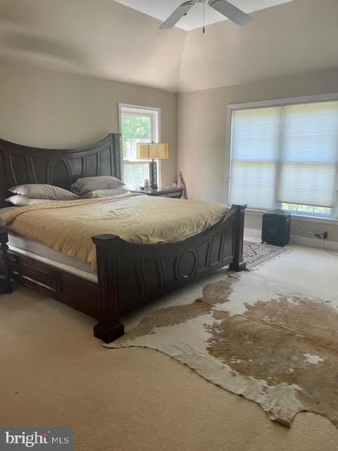 Building Photo - 55 Wincrest Dr