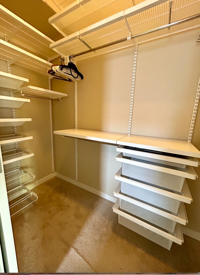 Building Photo - Mount Baker/Columbia City Townhouse