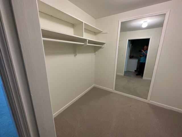 Master walk-in closet - 25 Ivy Sq NE