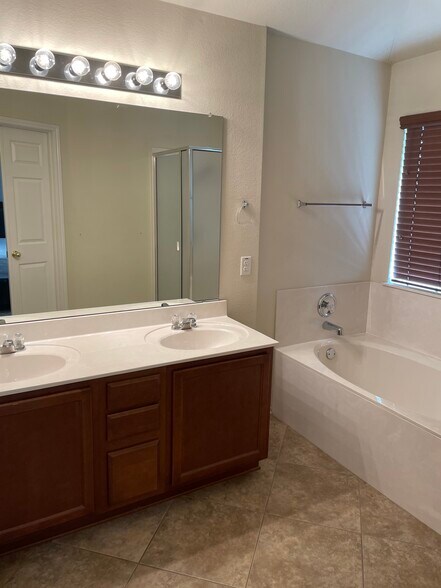 Primary Bathroom - 4606 Lookout Mountain Ln