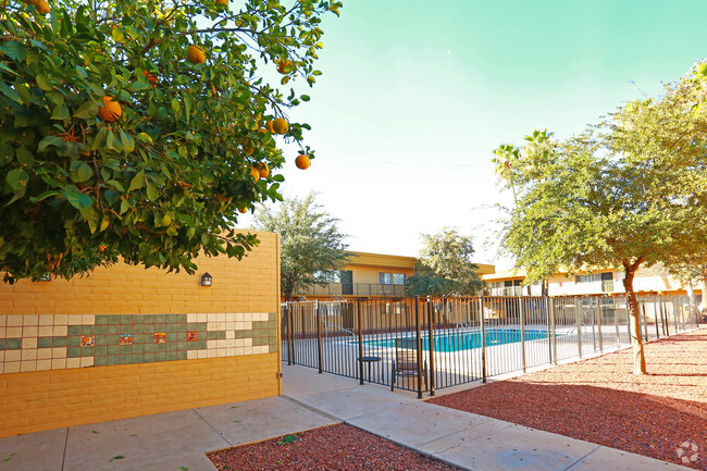 Primary Photo - Tierra Sol