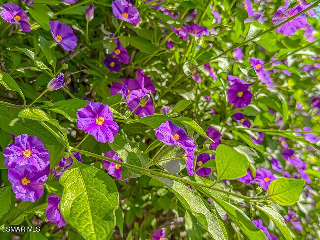 Building Photo - 1915 Woodside Dr