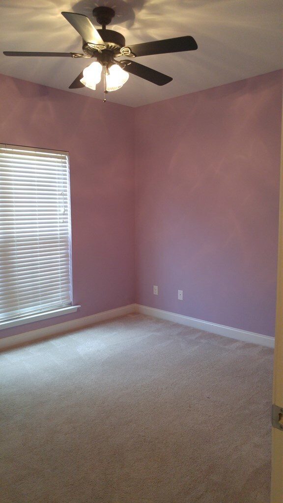 Building Photo - 3719 Castle Pines Ln