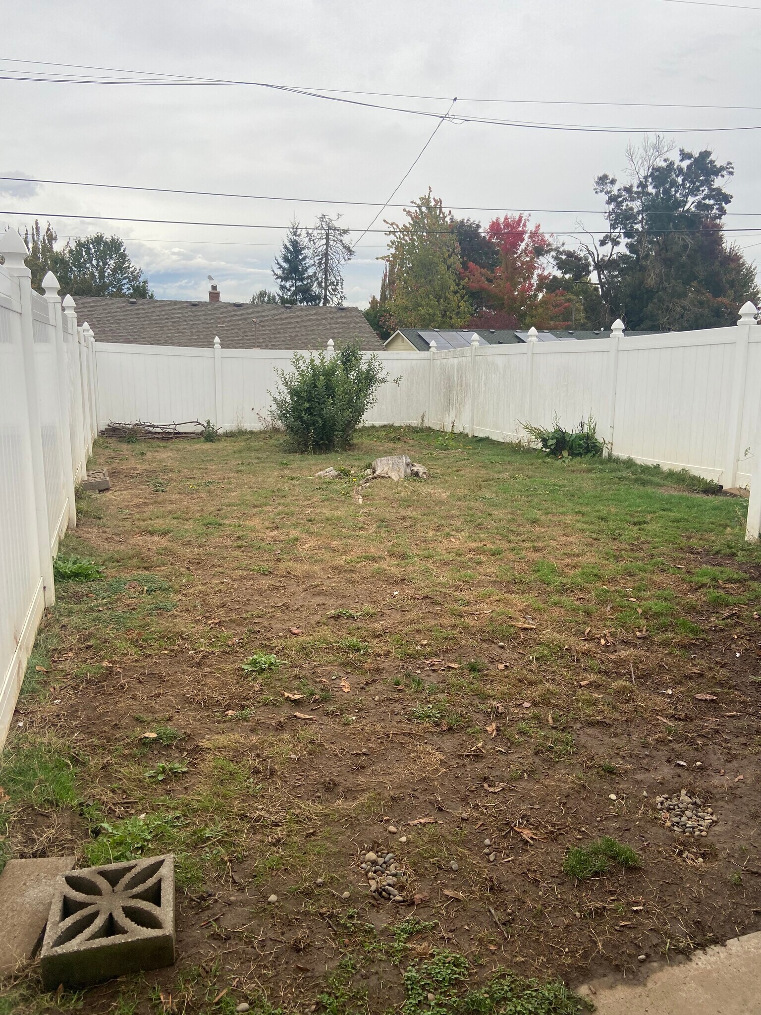 Backyard- vinyl fencing, separate entrance, private, doggy door accessible - 3901 N Kiska St