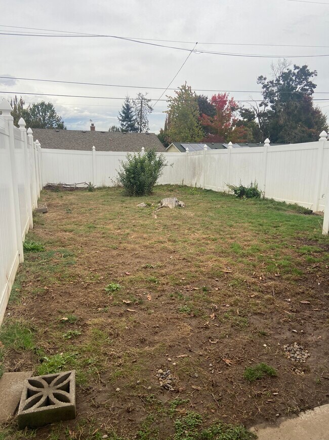 Backyard- vinyl fencing, separate entrance, private, doggy door accessible - 3901 N Kiska St